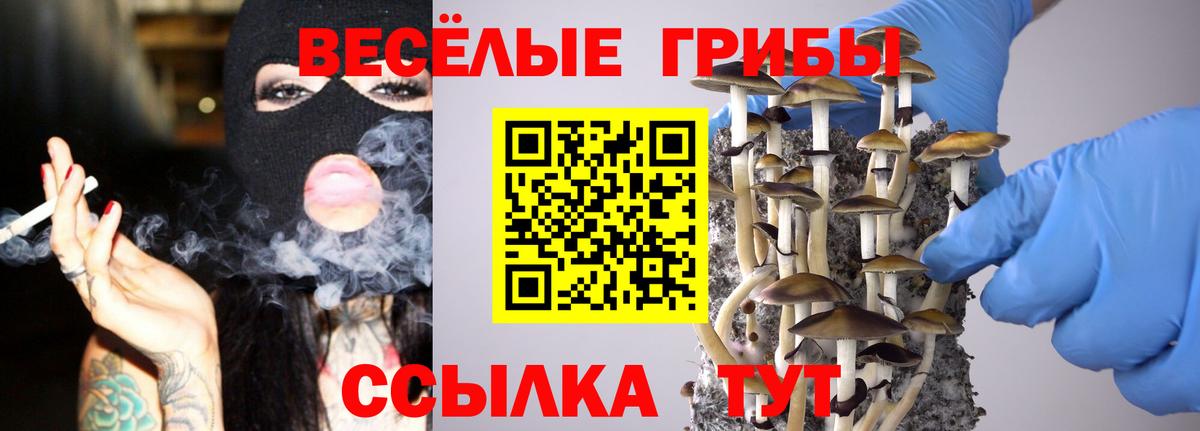 Псилоцибиновые грибы мухоморы Елец